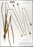 000063460-thumbnail.jpg