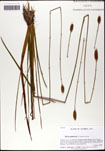 000063461-thumbnail.jpg
