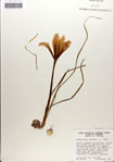 000063540-thumbnail.jpg