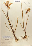 000063542-thumbnail.jpg