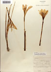 000063543-thumbnail.jpg