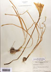 000063544-thumbnail.jpg