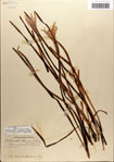 000063546-thumbnail.jpg