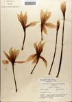000063556-thumbnail.jpg