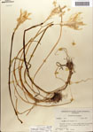000063562-thumbnail.jpg