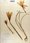 000063565-thumbnail.jpg
