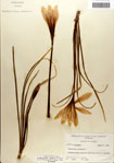 000063566-thumbnail.jpg