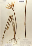 000063567-thumbnail.jpg