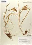 000063573-thumbnail.jpg