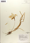 000063574-thumbnail.jpg