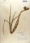 000063578-thumbnail.jpg