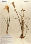000063580-thumbnail.jpg