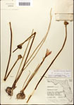 000063581-thumbnail.jpg