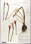 000063584-thumbnail.jpg