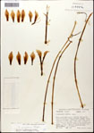 000063585-thumbnail.jpg