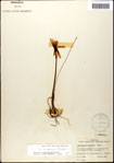000063586-thumbnail.jpg
