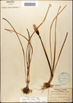 000063588-thumbnail.jpg