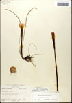 000063589-thumbnail.jpg
