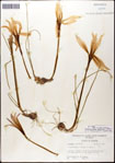000063600-thumbnail.jpg