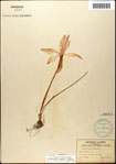 000063601-thumbnail.jpg