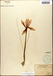 000063602-thumbnail.jpg