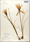 000063604-thumbnail.jpg