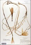 000063606-thumbnail.jpg