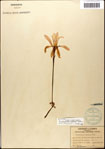 000063609-thumbnail.jpg