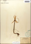 000063610-thumbnail.jpg