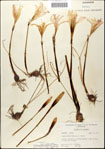 000063612-thumbnail.jpg
