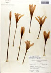 000063613-thumbnail.jpg