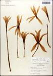 000063614-thumbnail.jpg