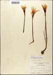 000063616-thumbnail.jpg