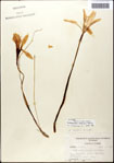 000063617-thumbnail.jpg