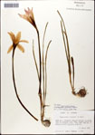 000063620-thumbnail.jpg