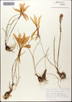 000063621-thumbnail.jpg