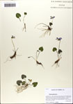 000063859-thumbnail.jpg