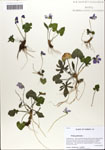 000063860-thumbnail.jpg