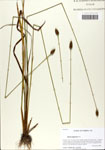 000063935-thumbnail.jpg