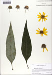 000063952-thumbnail.jpg
