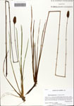 000064068-thumbnail.jpg