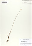 000064104-thumbnail.jpg