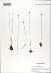000064109-thumbnail.jpg