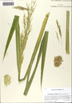 000064123-thumbnail.jpg