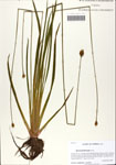 000064140-thumbnail.jpg