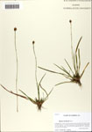 000064147-thumbnail.jpg