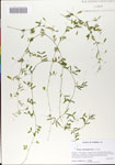 000064682-thumbnail.jpg
