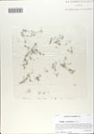000064803-thumbnail.jpg