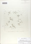 000064804-thumbnail.jpg