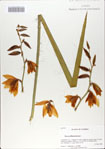 000064840-thumbnail.jpg